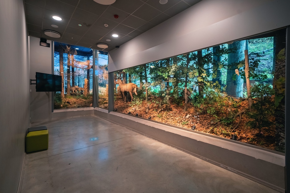 Centrum Edukacji Przyrodniczej TPN wystawa przyrodnicza